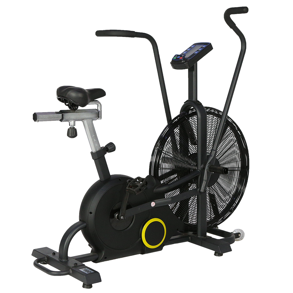 Dual Motion Air Bike 330