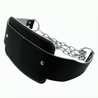 Weight Lifting Belt