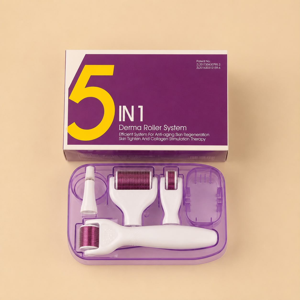 5 In 1 beauty microneedle roller